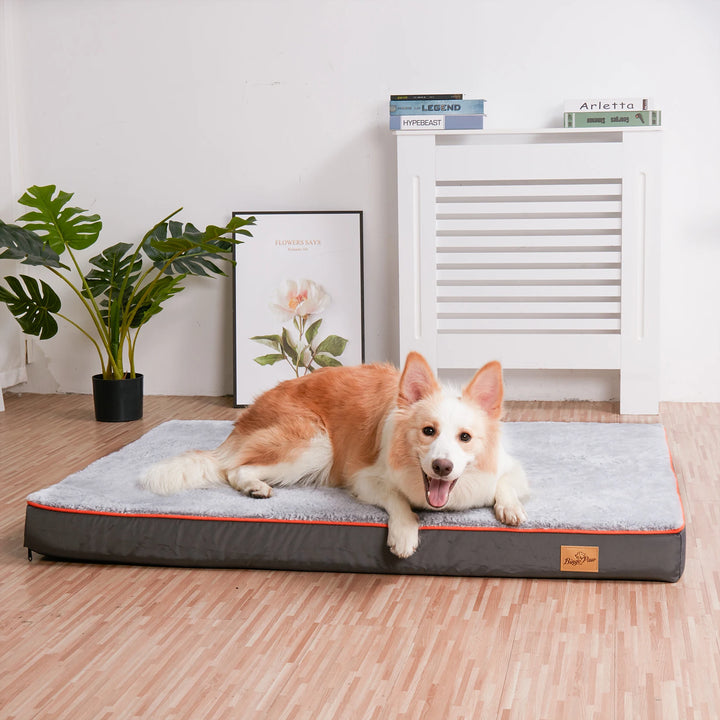 Large Orthopedic Memory Foam Dog Bed