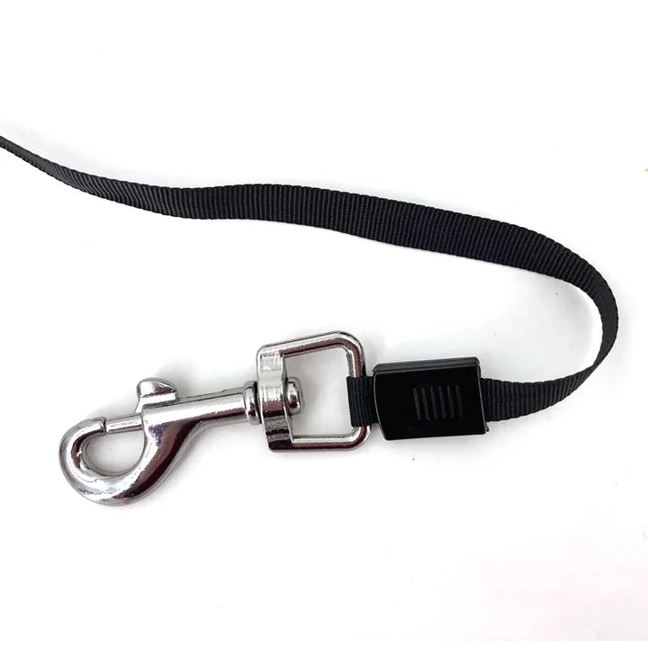 Retractable Dog Leash – Automatic Flexible Leash