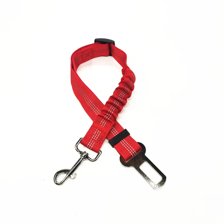 Safety Harness for Dogs and Cats