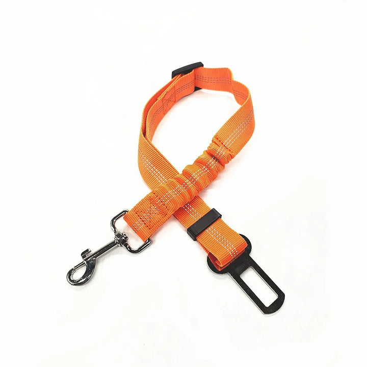 Safety Harness for Dogs and Cats