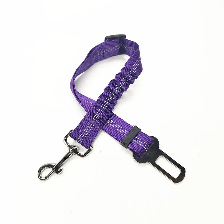 Safety Harness for Dogs and Cats