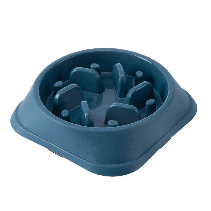 Slow Food Bowl for Cats & Dogs