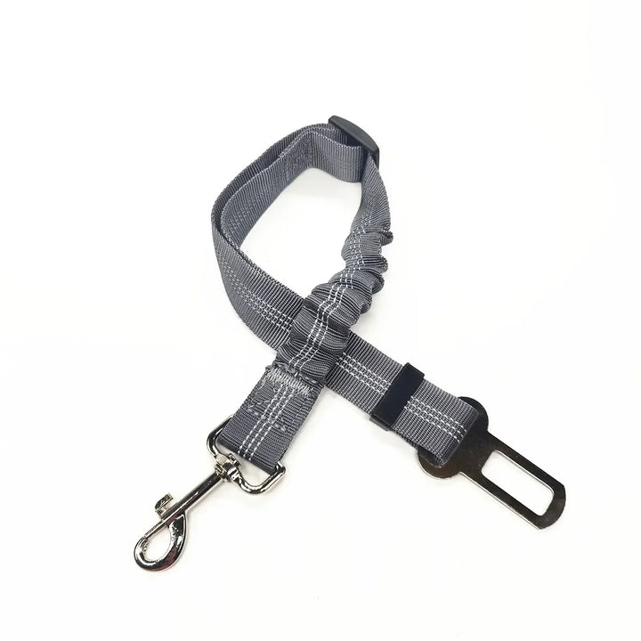 Safety Harness for Dogs and Cats