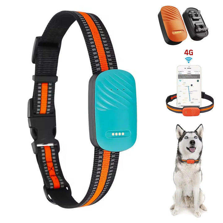 Smart 4G GPS Tracker for Pets