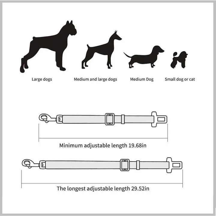 Safety Harness for Dogs and Cats