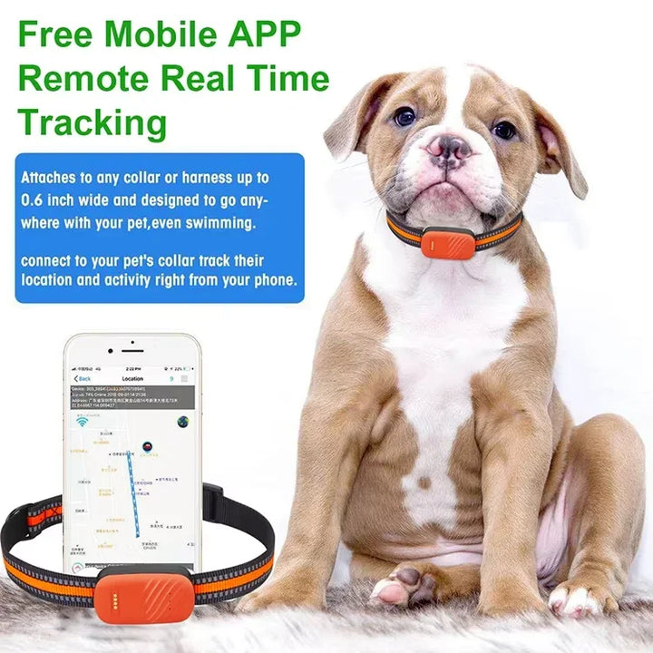 Smart 4G GPS Tracker for Pets