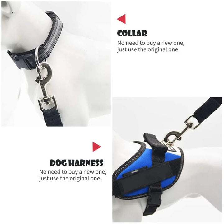 Safety Harness for Dogs and Cats