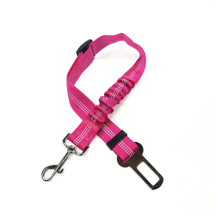 Safety Harness for Dogs and Cats