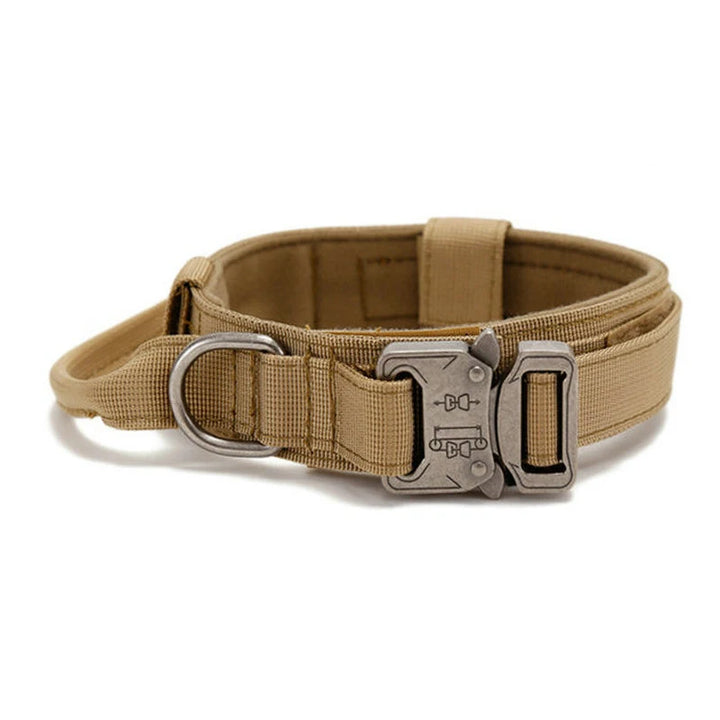 Military Tactical Dog Collar