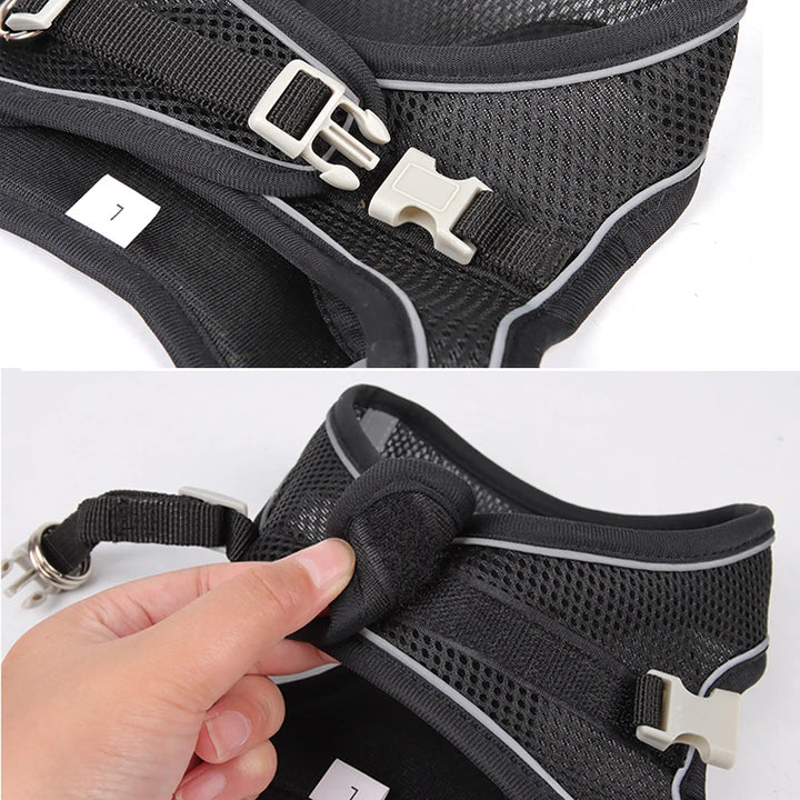 Adjustable Dog Harness & Leash Set