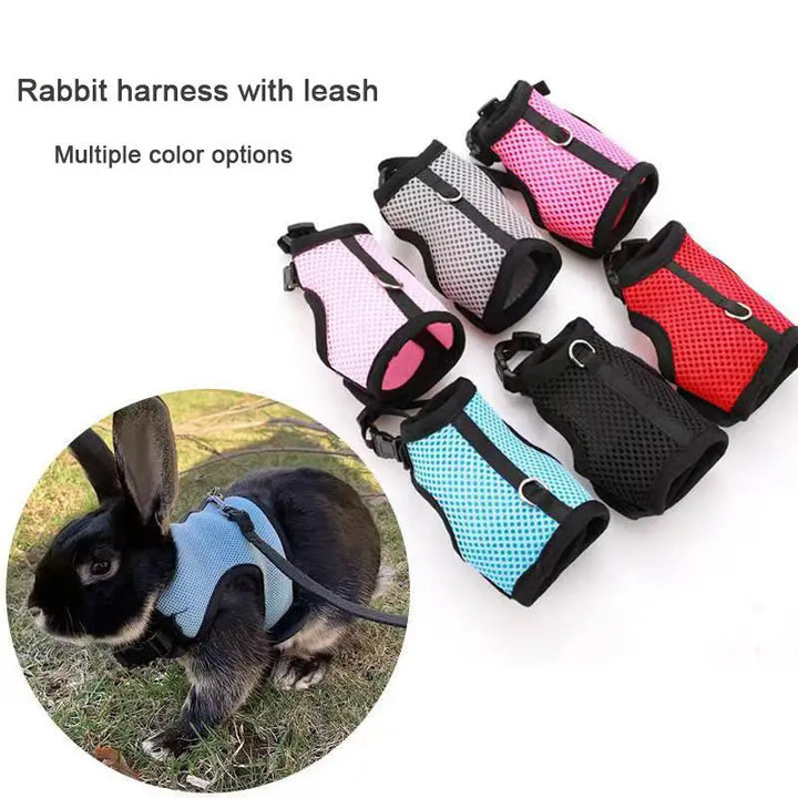 Breathable Small Pet Harness & Leash Set