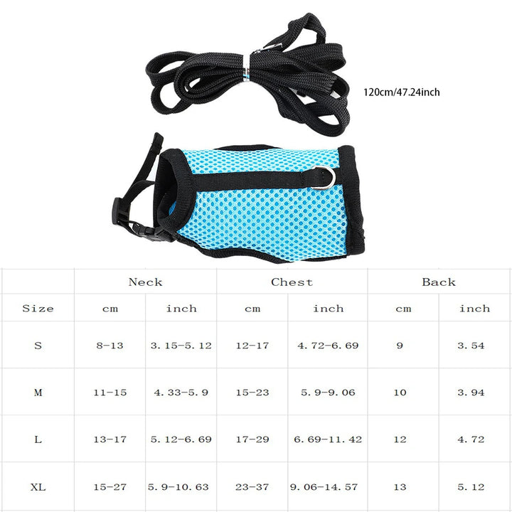 Breathable Small Pet Harness & Leash Set