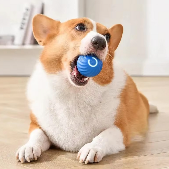 Interactive, Moving & Bouncing Smart Toy Ball